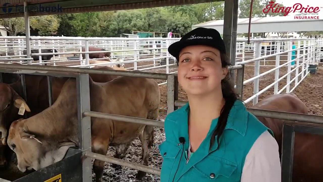 Janke (Steer Clear) - UP-Agric Feedlot Challenge 2020