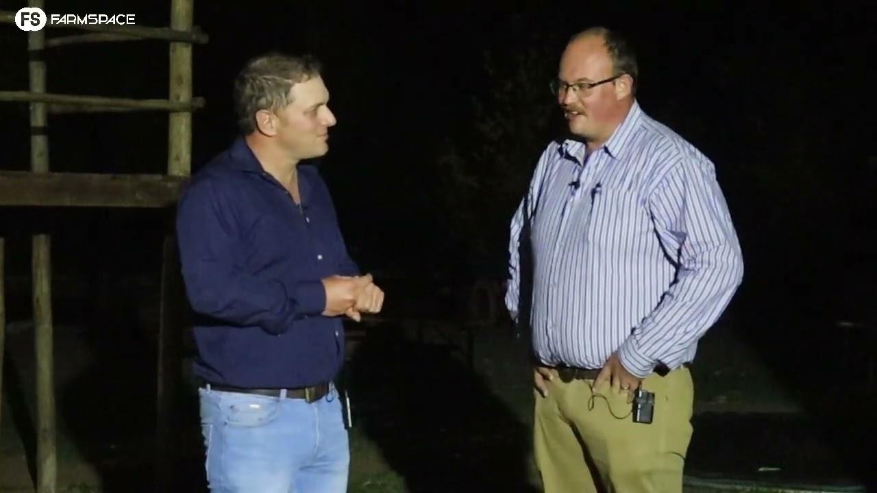 Tinus en Derick Le Roux gesels oor die Nasionale Limousin Kampioenskappe en die Limousin ras in SA